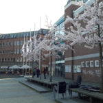 Marcellin-Verbe-Haus in Glinde